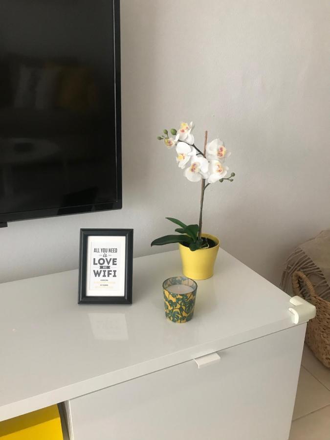 Designer'S Flat - 3 Bdrm - Wifi - Best Location Αλικάντε Εξωτερικό φωτογραφία